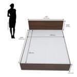 Arthur Queen Bed Without Storage | Engineered Wood | 1 Year Warranty - Image 4